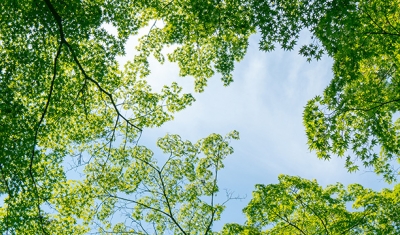 Right to Healthy Environment Event