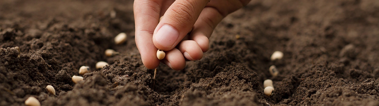 Online Right to Seeds Workshop