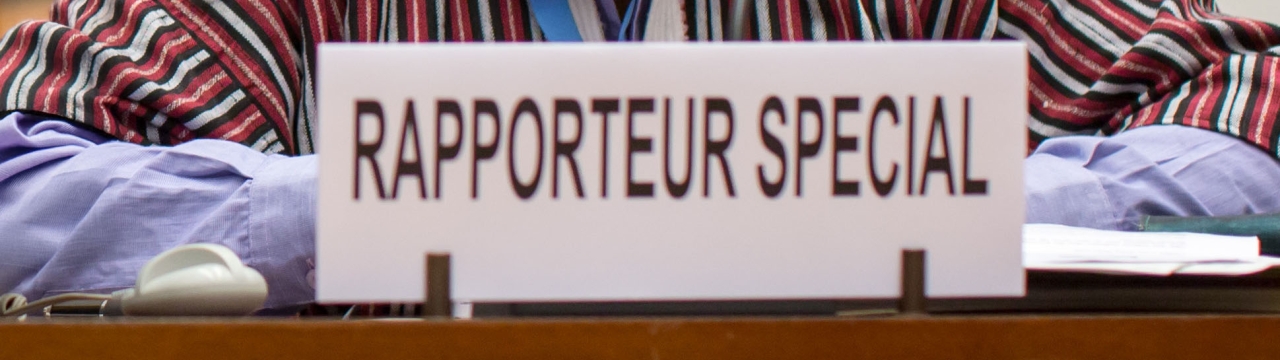 Special Rapporteur Sign