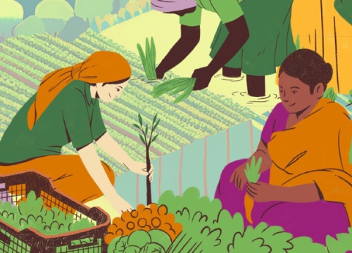 Rights of Peasant Women Side Event